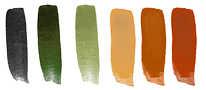 Desenho Paleta de Cores